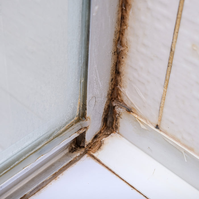 clear silicone sealant - Mold fungus and rust growing in tile joints