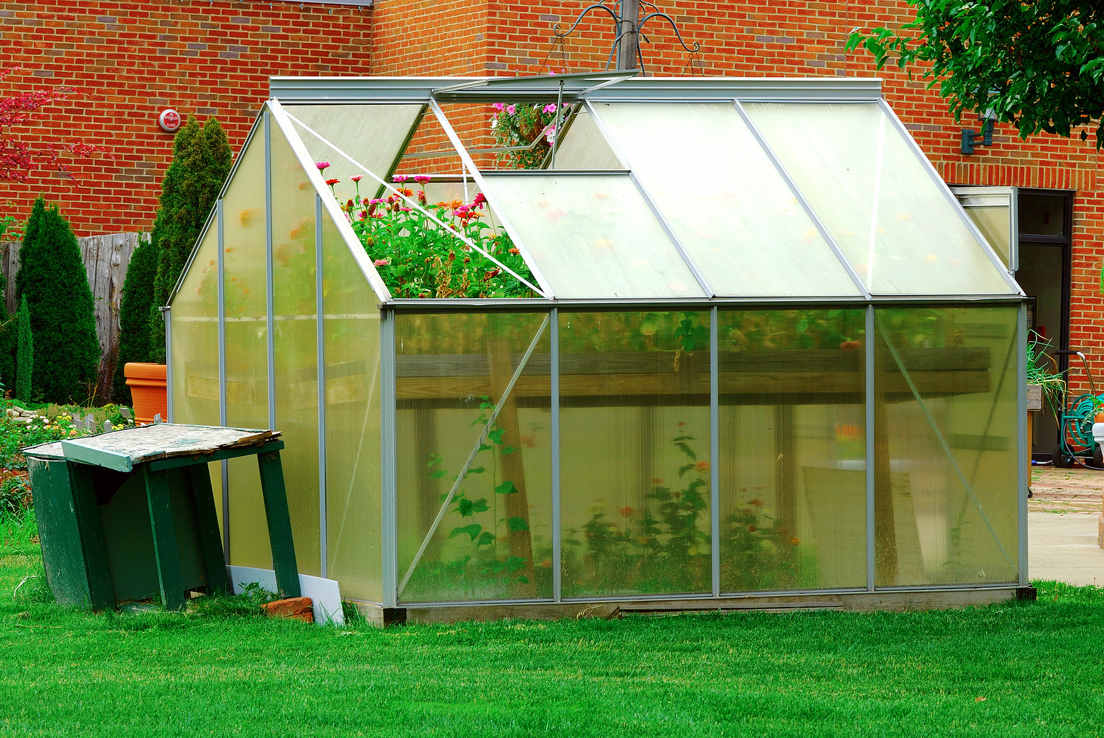 glass clamp - A greenhouse holds zinnia flowers 