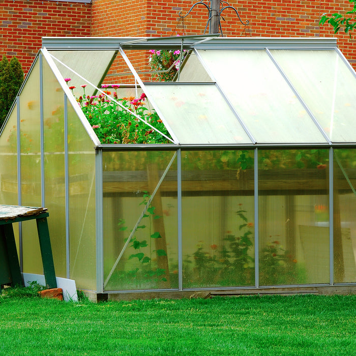 glass clamp - A greenhouse holds zinnia flowers 